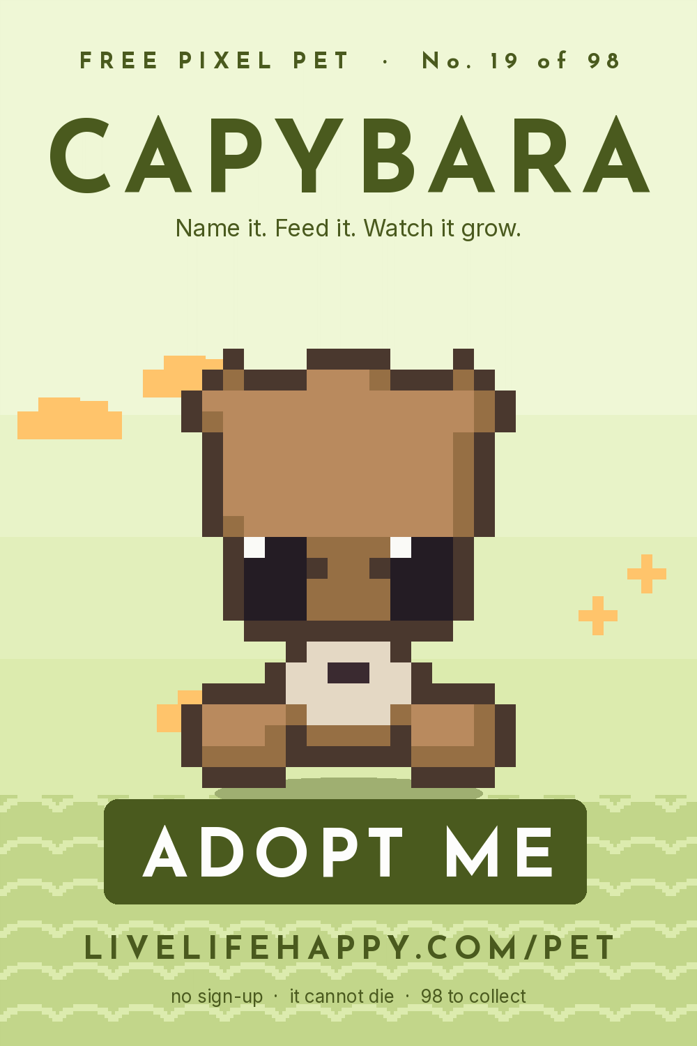 Animated pixel art trading card, number 19 of 98, Capybara, with the words adopt me