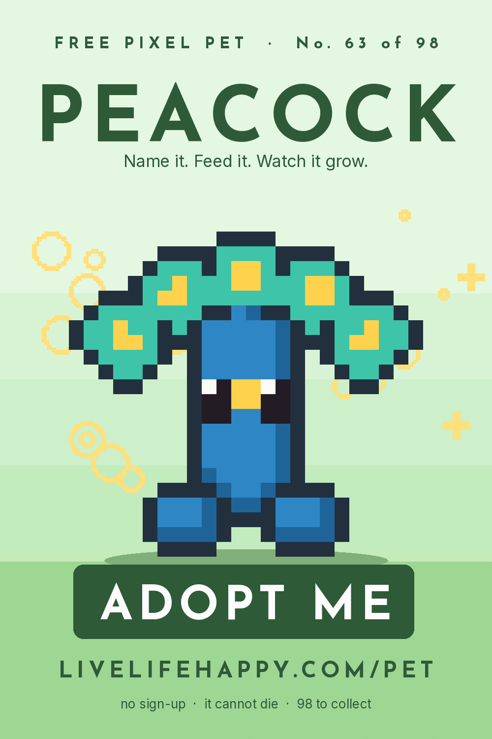 Animated pixel art trading card, number 63 of 98, Peacock, with the words adopt me