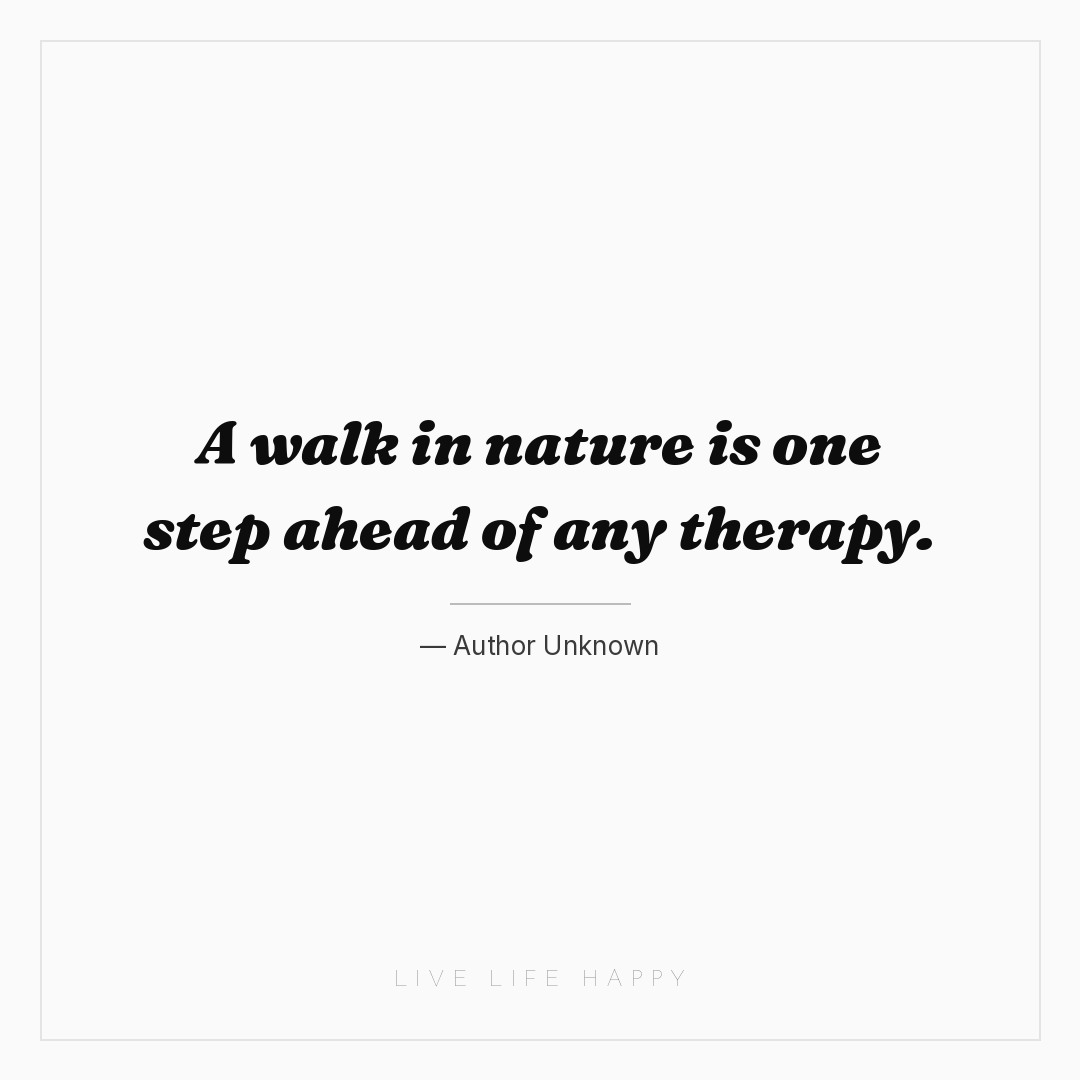 A walk in nature is one step ahead of any therapy. — Author Unknown