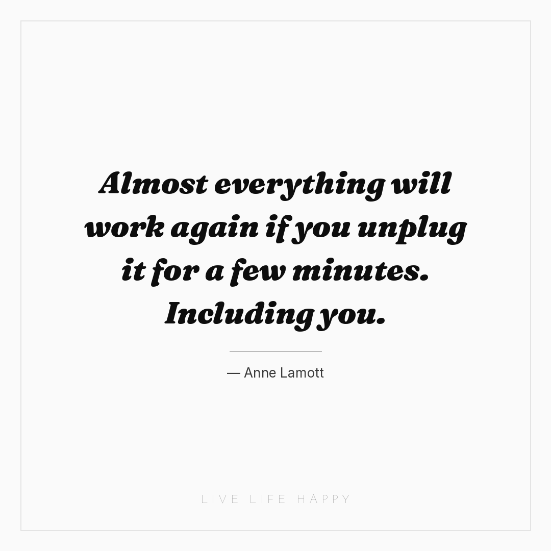 Almost everything will work again if you unplug it f... — Anne Lamott
