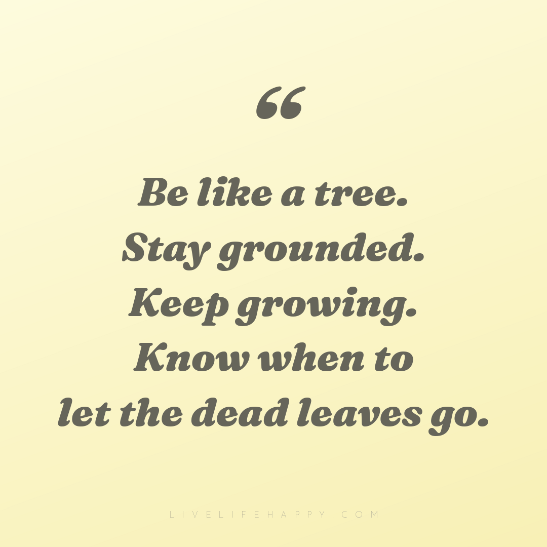 Be like a tree. Stay grounded. Keep growing. Know wh... — Author Unknown
