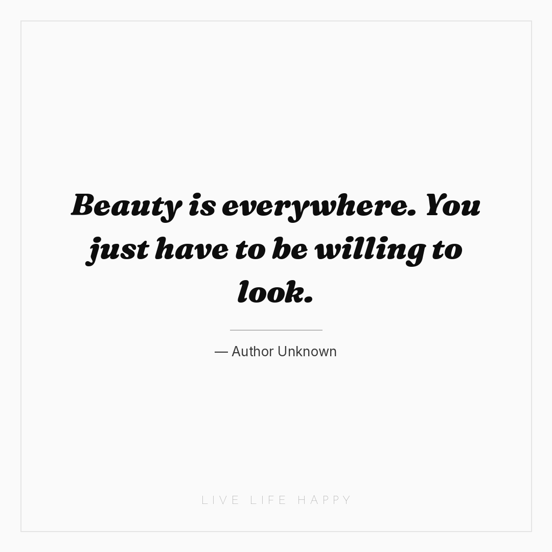 Beauty is everywhere. You just have to be willing to... — Author Unknown