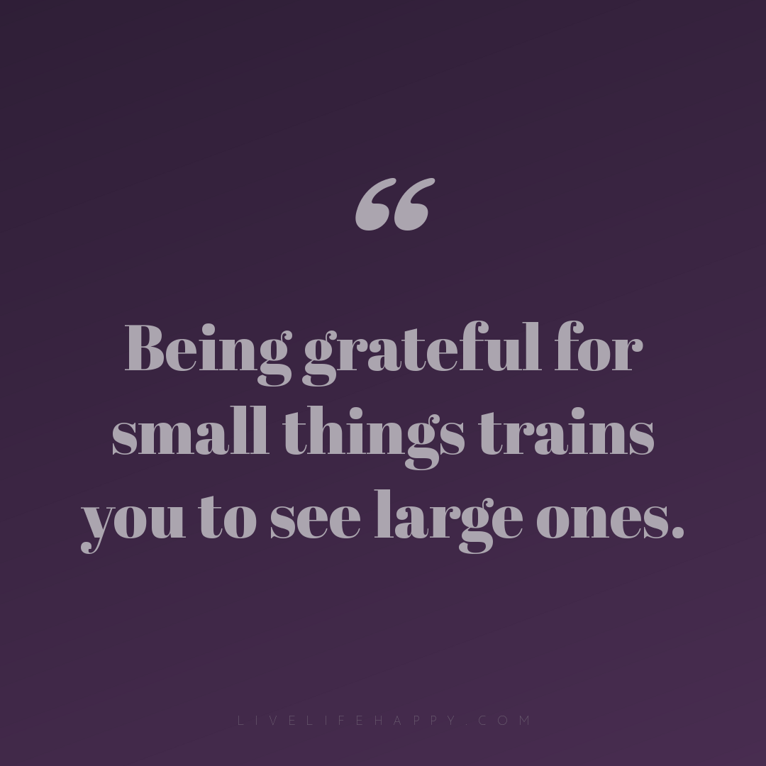Being grateful for small things trains you to see la... — Author Unknown