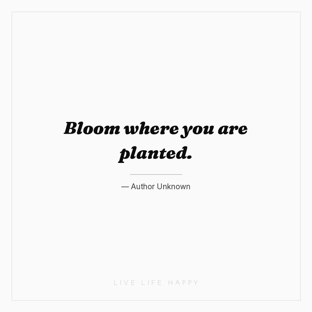 Bloom where you are planted. — Author Unknown
