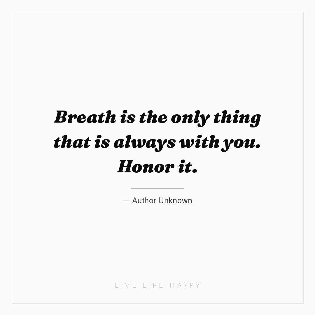 Breath is the only thing that is always with you. Ho... — Author Unknown