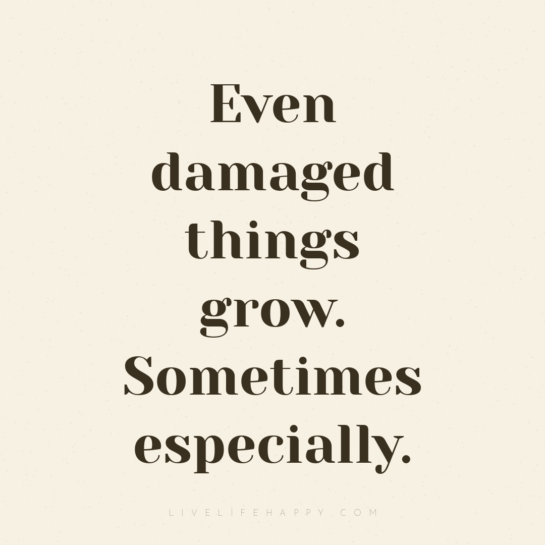 Even damaged things grow. Sometimes especially. — Author Unknown