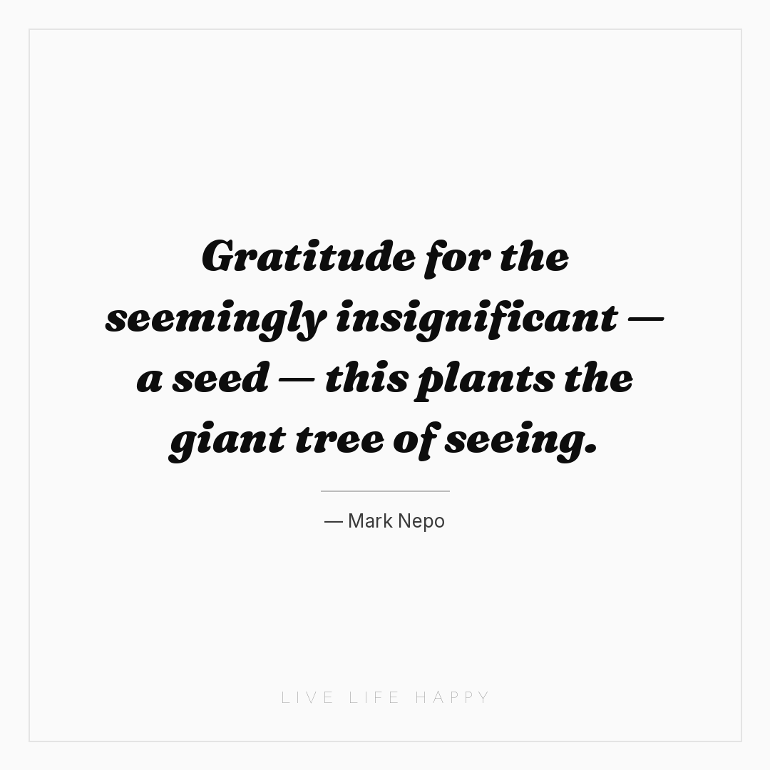 Gratitude for the seemingly insignificant — a seed —... — Mark Nepo