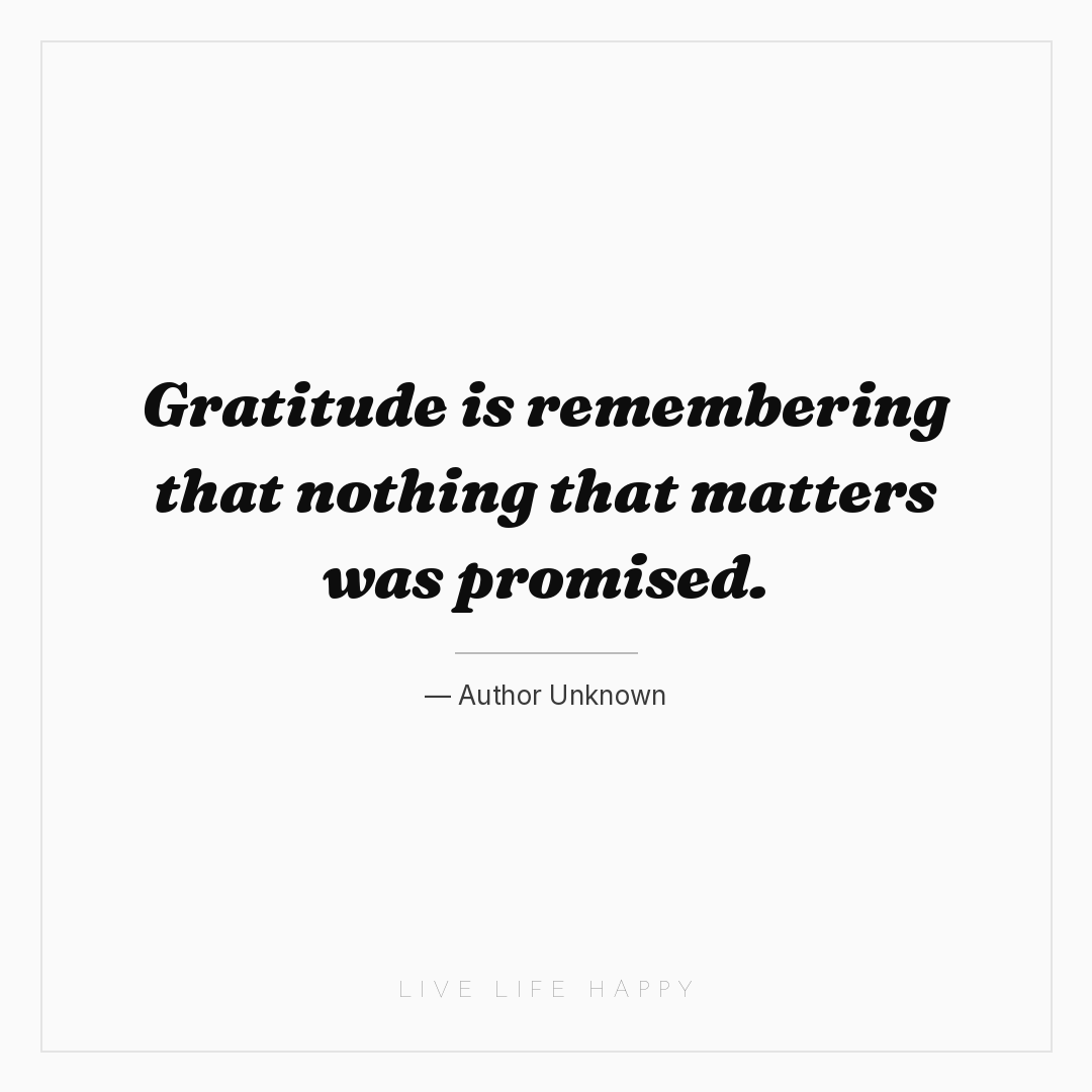 Gratitude is remembering that nothing that matters w... — Author Unknown