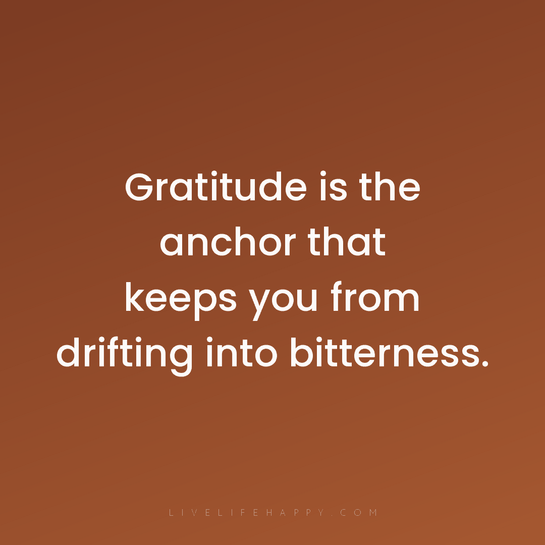 Gratitude is the anchor that keeps you from drifting... — Author Unknown