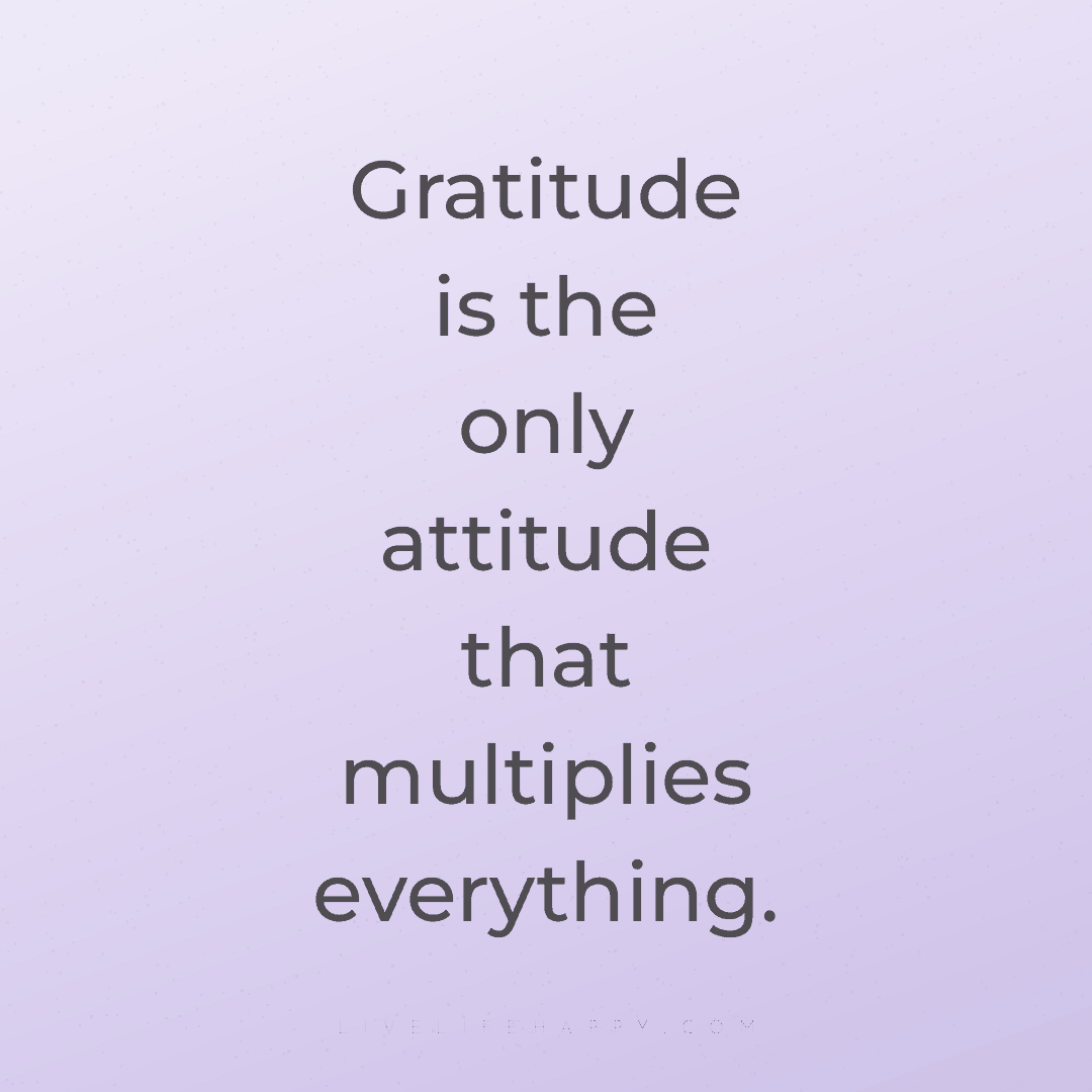 Gratitude is the only attitude that multiplies every... — Author Unknown