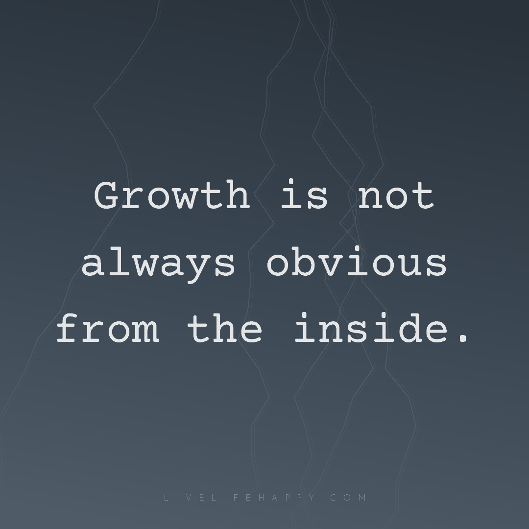 Growth is not always obvious from the inside. — Author Unknown