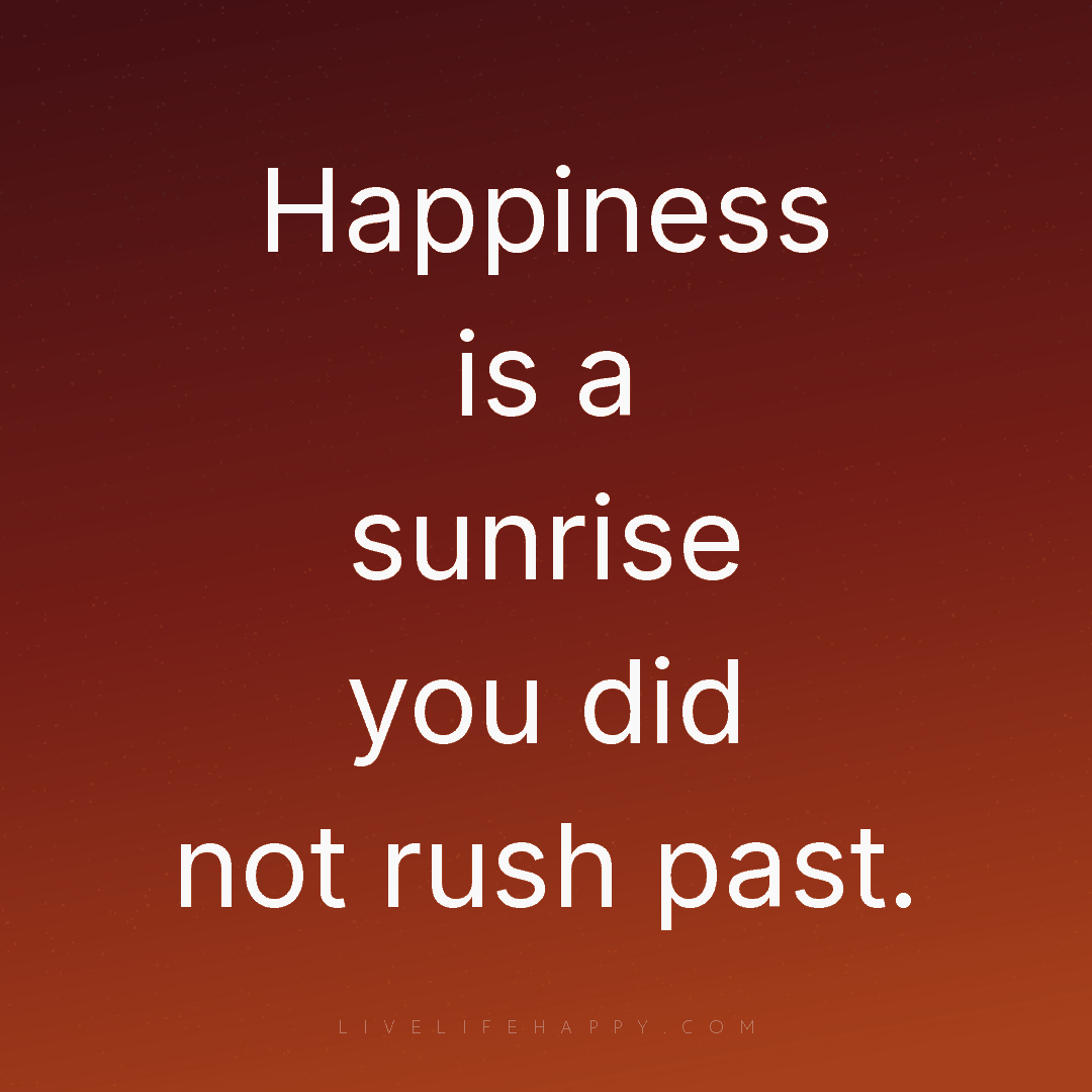 Happiness is a sunrise you did not rush past. — Author Unknown
