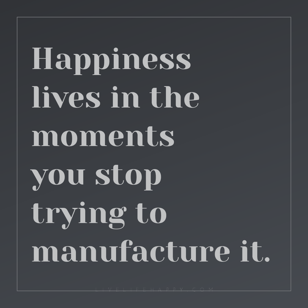Happiness lives in the moments you stop trying to ma... — Author Unknown