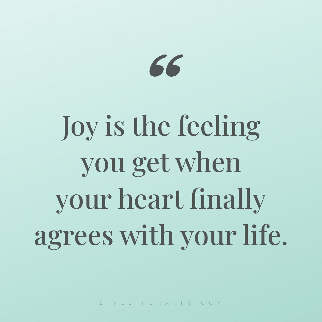 Joy is the feeling you get when your heart finally a... — Author Unknown