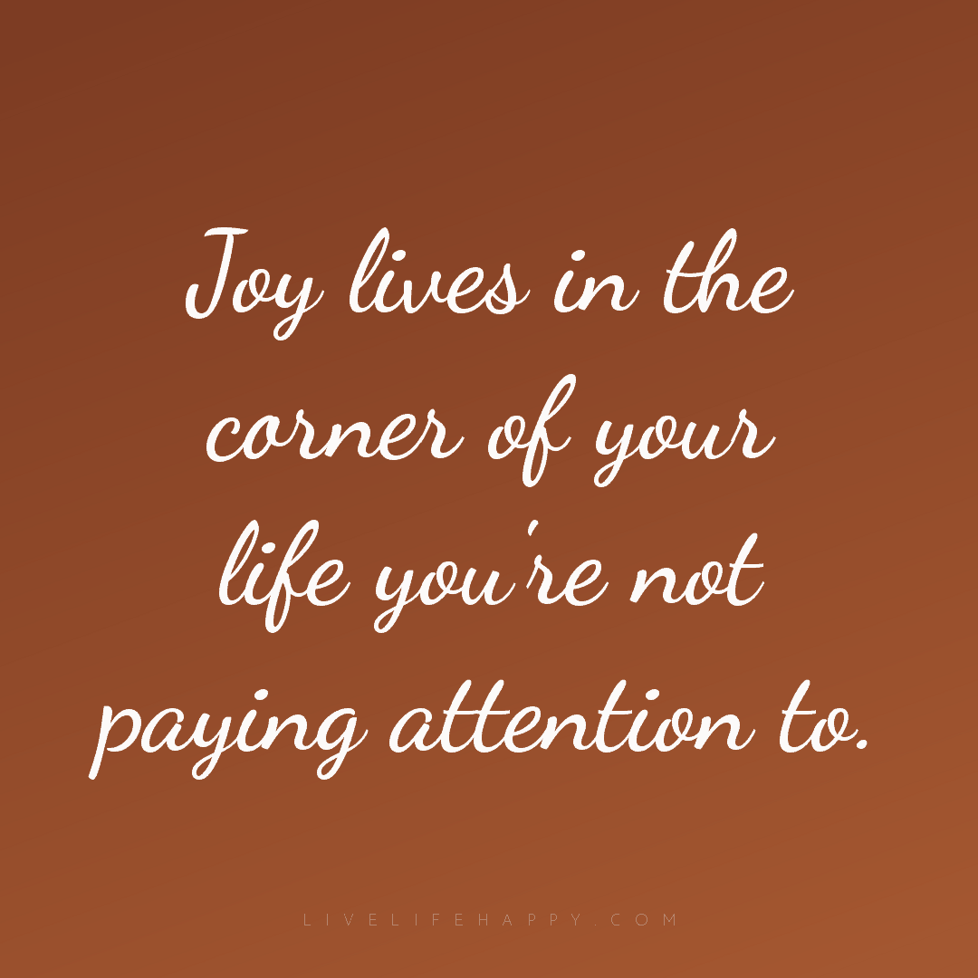 Joy lives in the corner of your life you're not payi... — Author Unknown