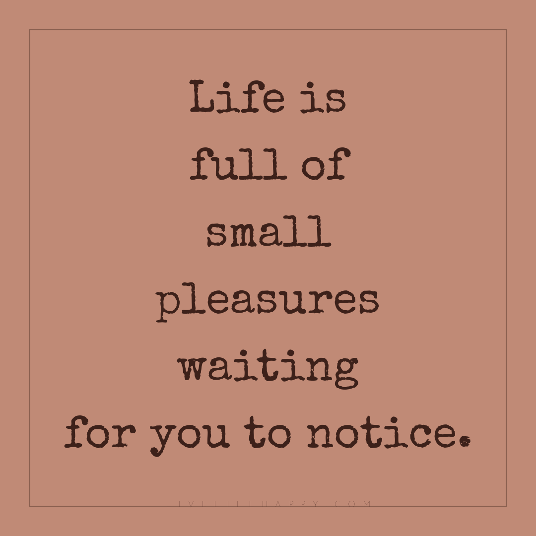 Life is full of small pleasures waiting for you to n... — Author Unknown