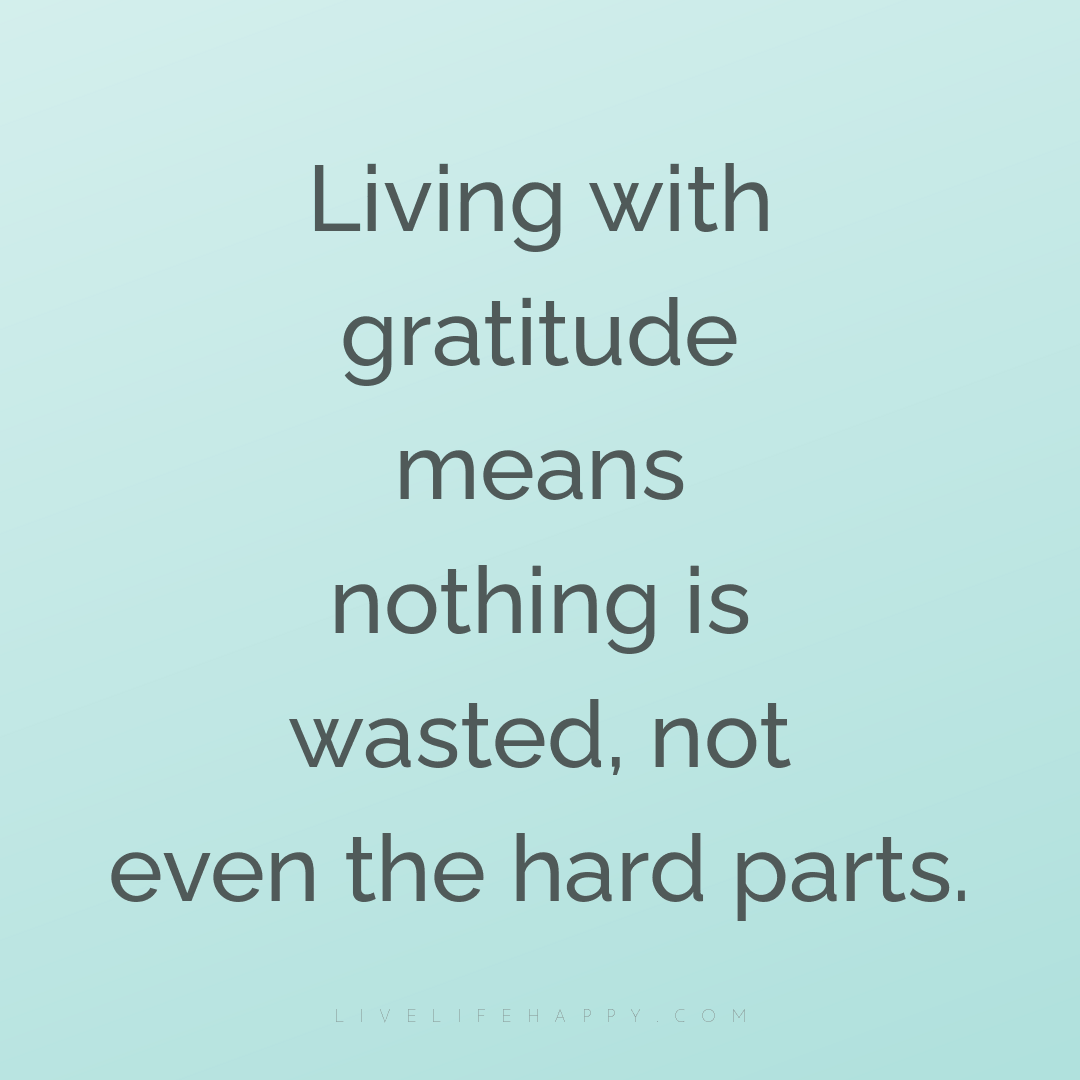 Living with gratitude means nothing is wasted, not e... — Author Unknown