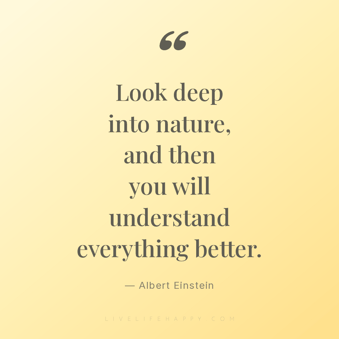 Look deep into nature, and then you will understand ... — Albert Einstein