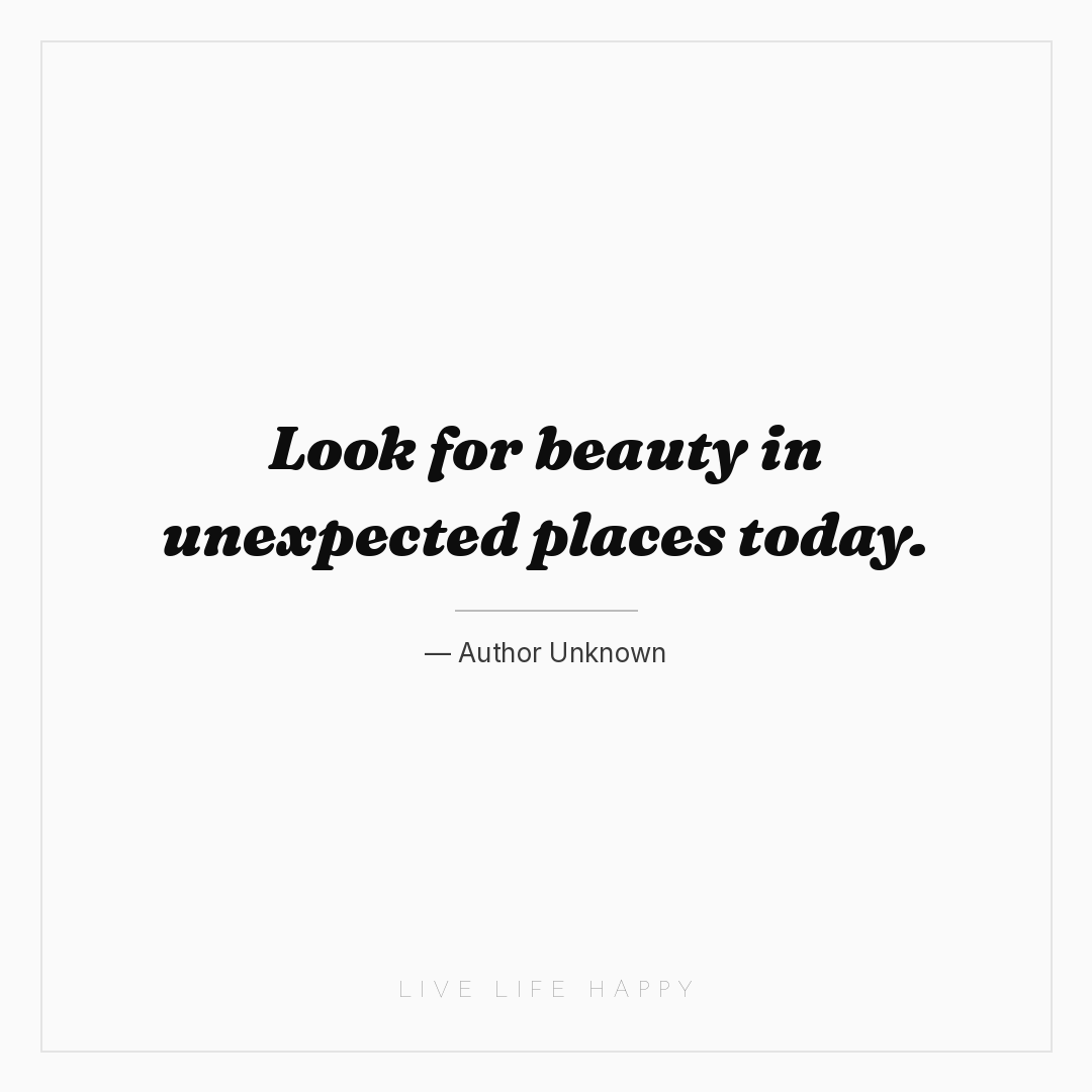 Look for beauty in unexpected places today. — Author Unknown