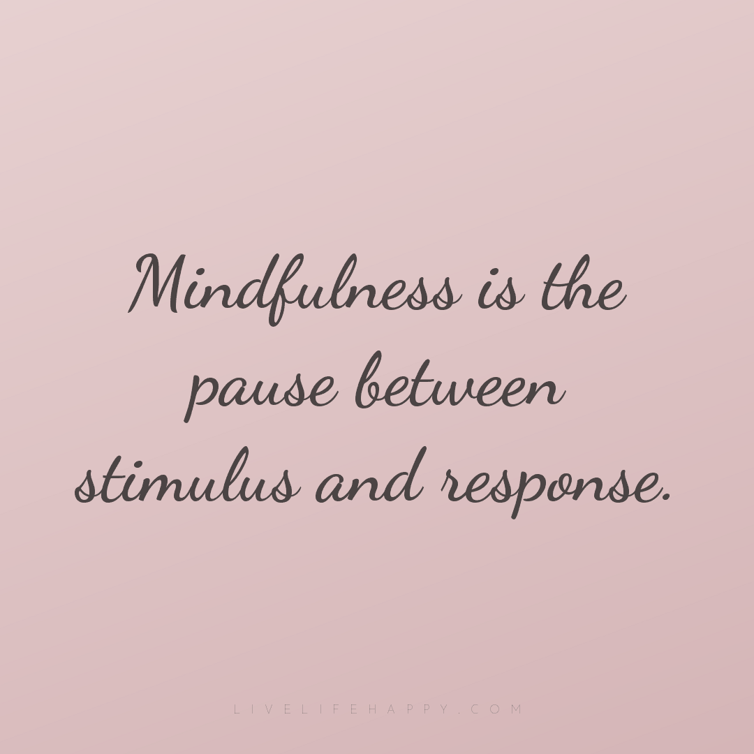 Mindfulness is the pause between stimulus and respon... — Author Unknown