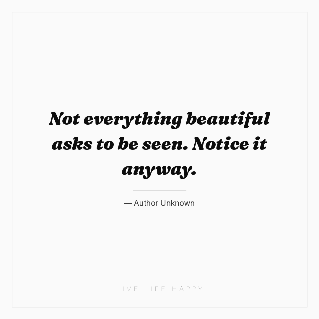 Not everything beautiful asks to be seen. Notice it ... — Author Unknown