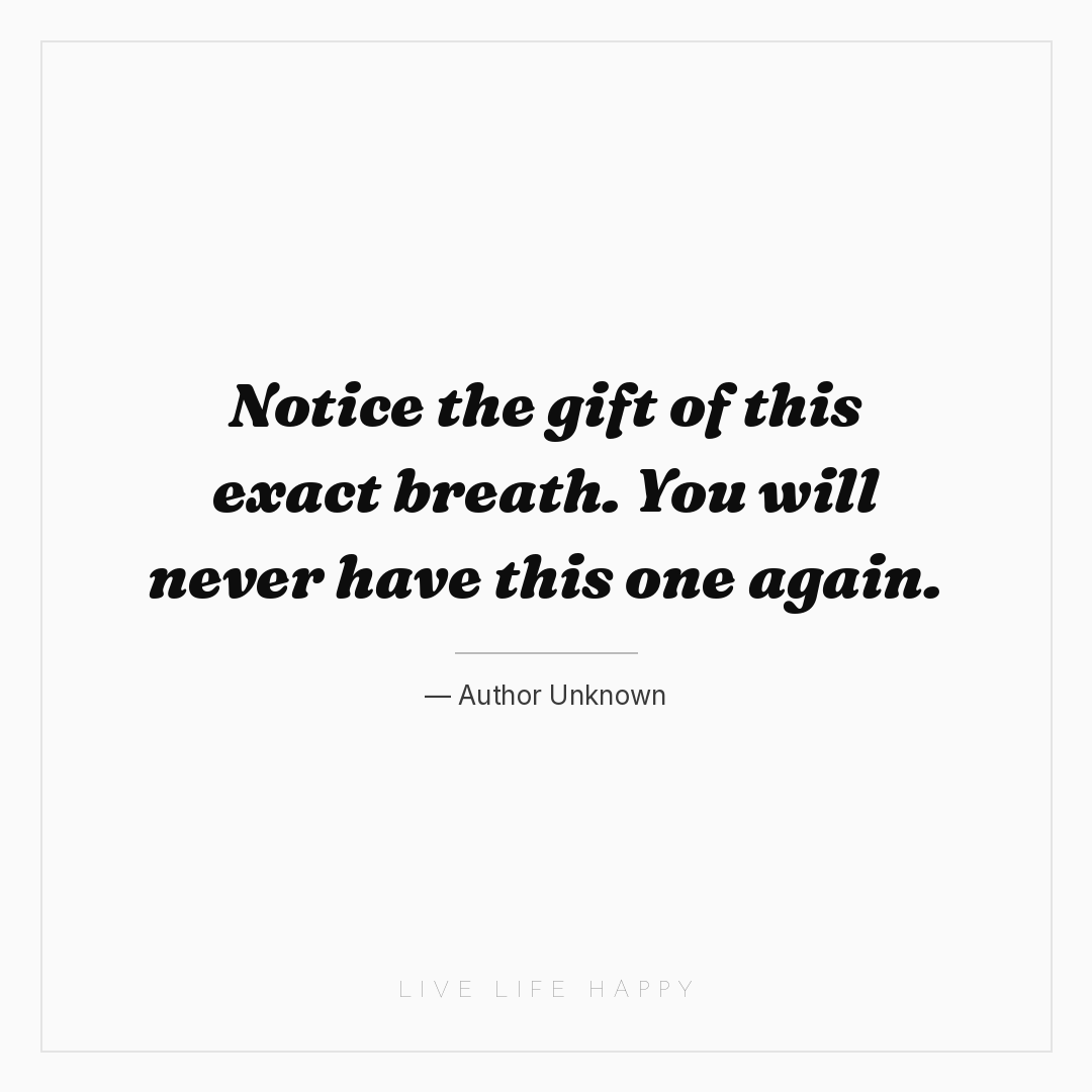 Notice the gift of this exact breath. You will never... — Author Unknown