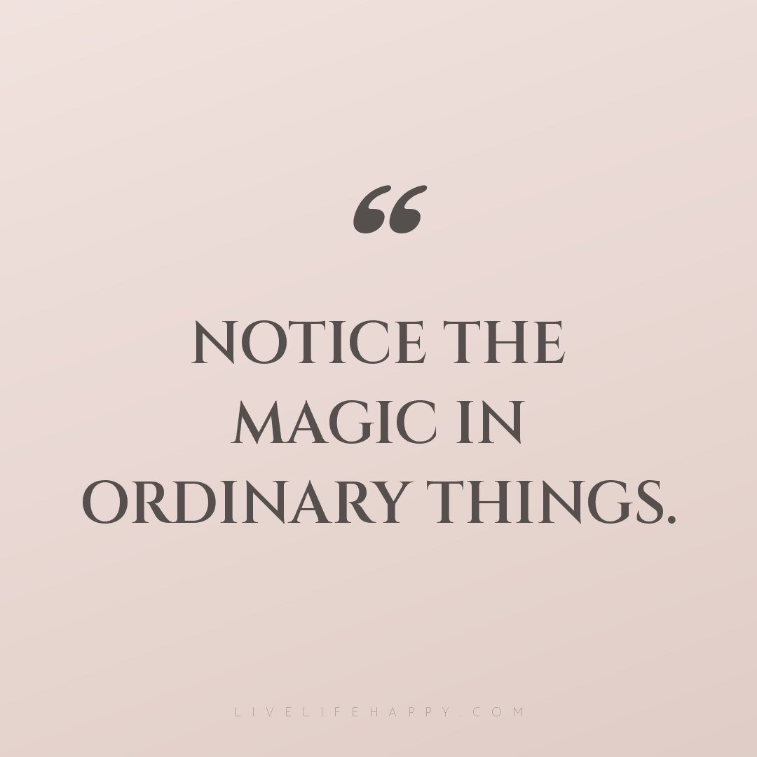 Notice the magic in ordinary things. — Author Unknown