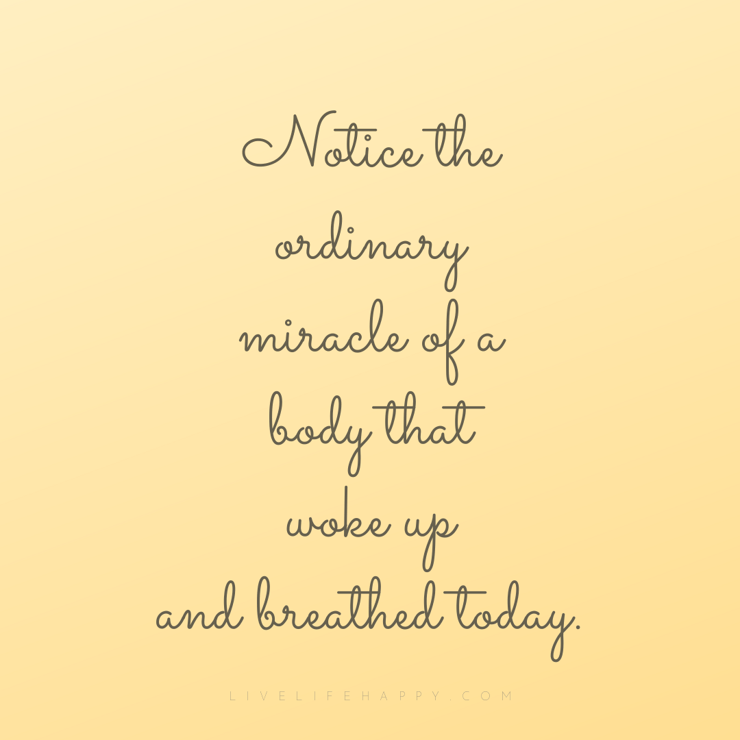 Notice the ordinary miracle of a body that woke up a... — Author Unknown