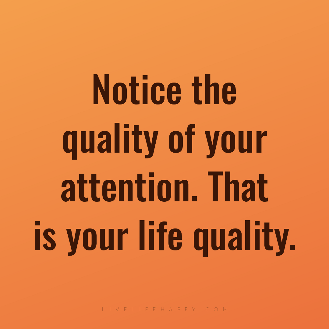 Notice the quality of your attention. That is your l... — Author Unknown