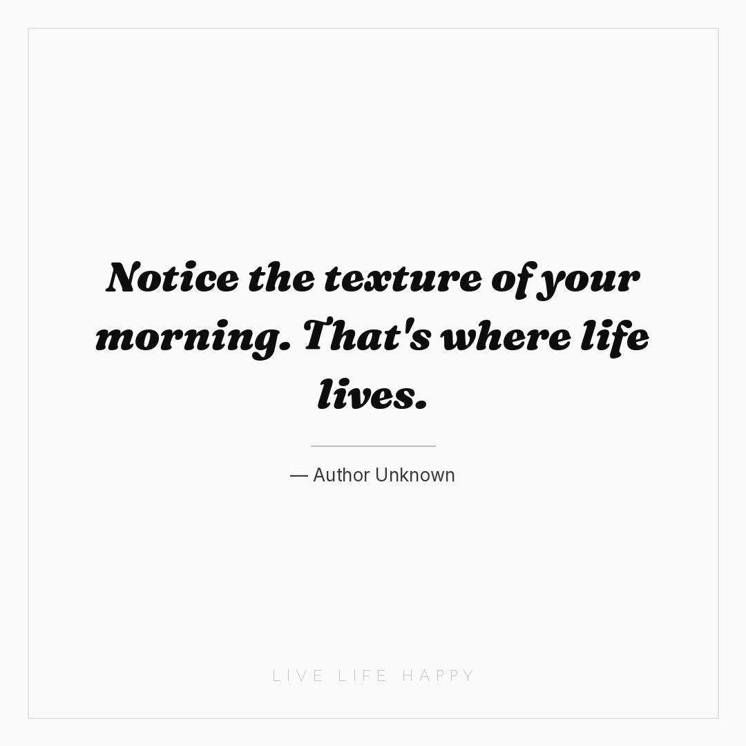 Notice the texture of your morning. That's where lif... — Author Unknown