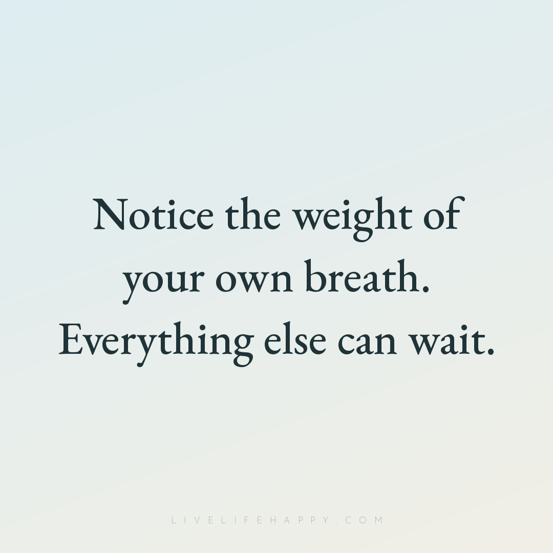 Notice the weight of your own breath. Everything els... — Author Unknown