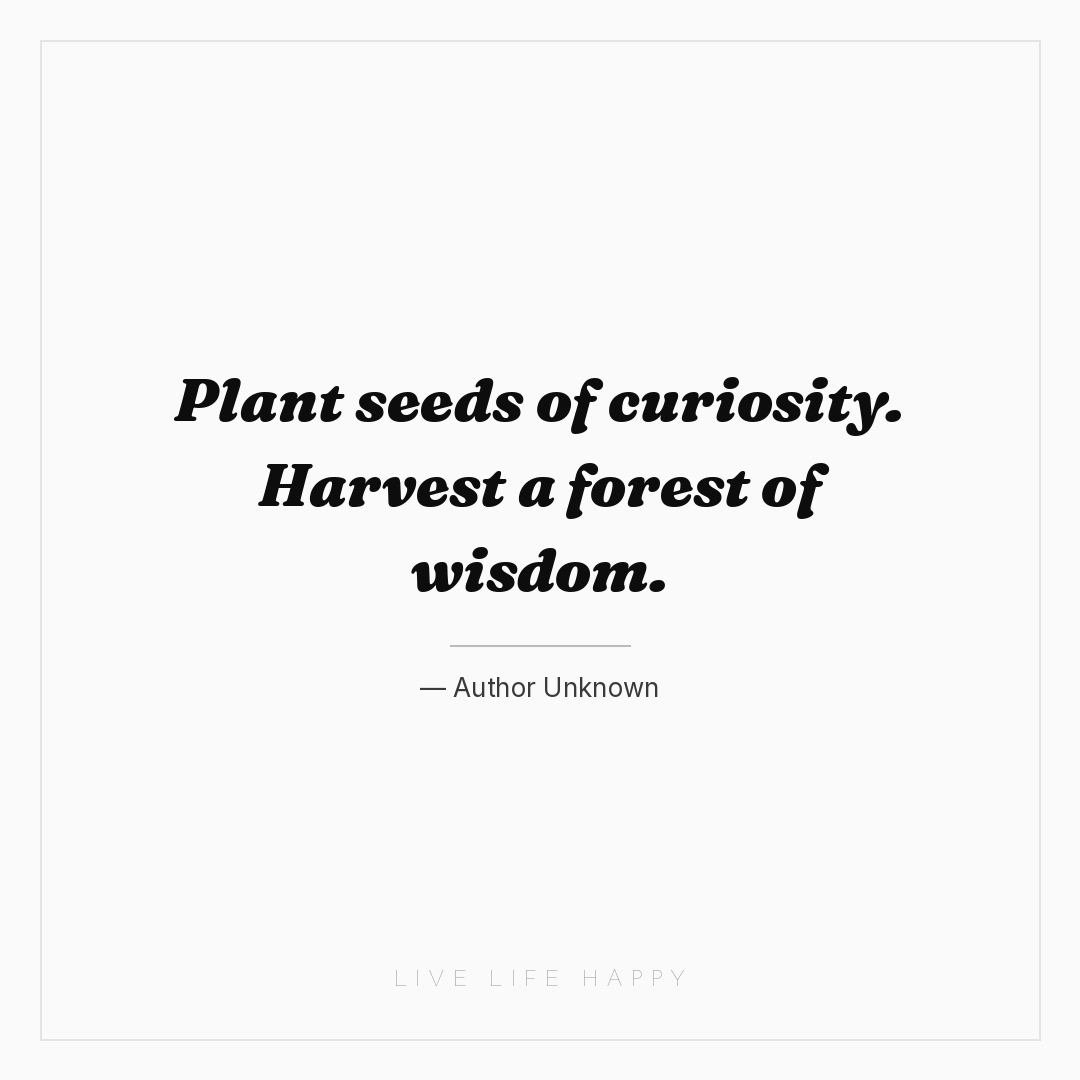 Plant seeds of curiosity. Harvest a forest of wisdom... — Author Unknown