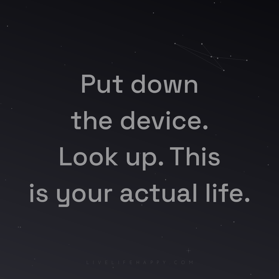 Put down the device. Look up. This is your actual li... — Author Unknown