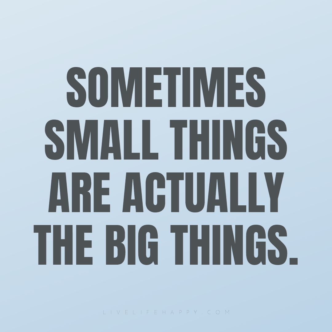 Sometimes small things are actually the big things. — Author Unknown
