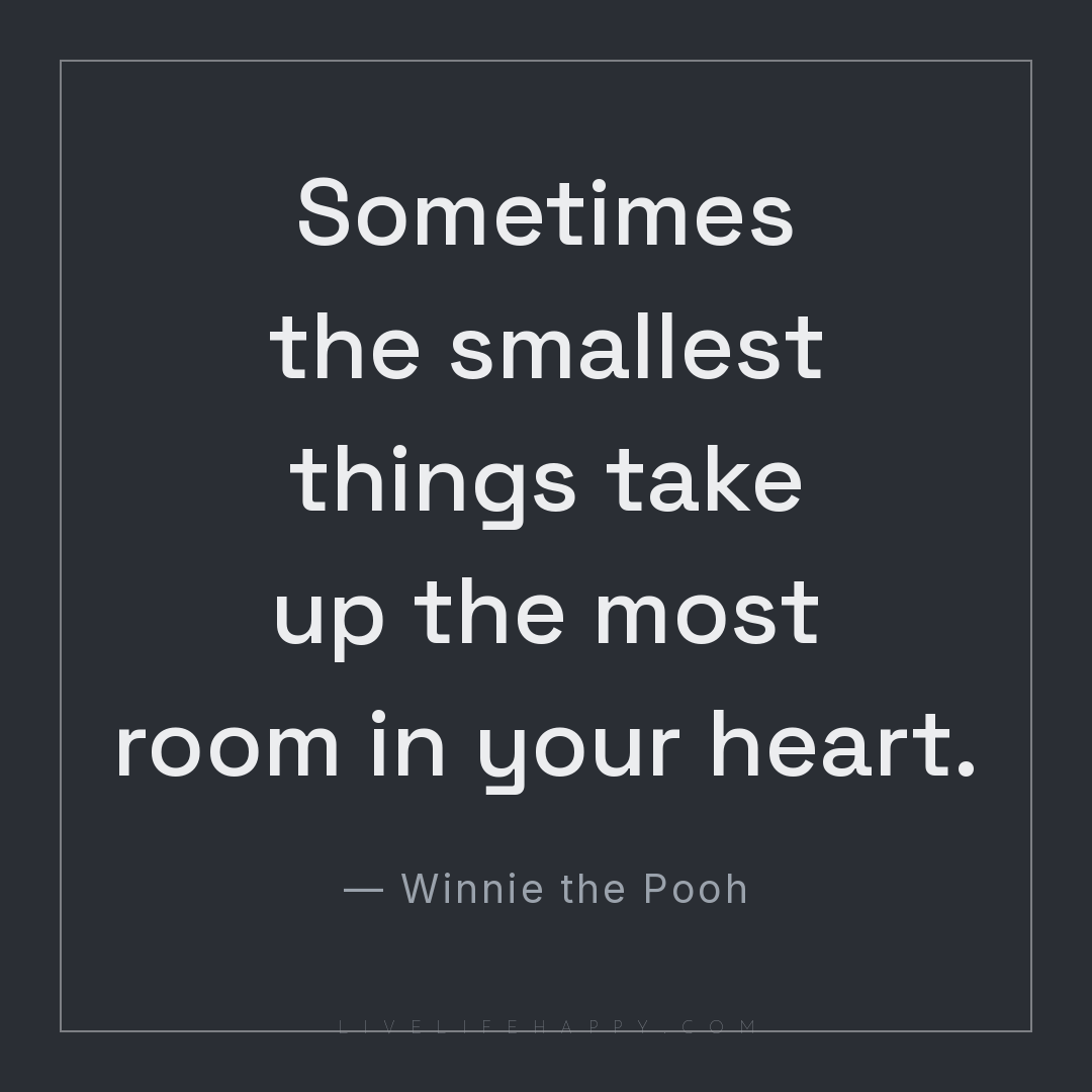 Sometimes the smallest things take up the most room ... — Winnie the Pooh