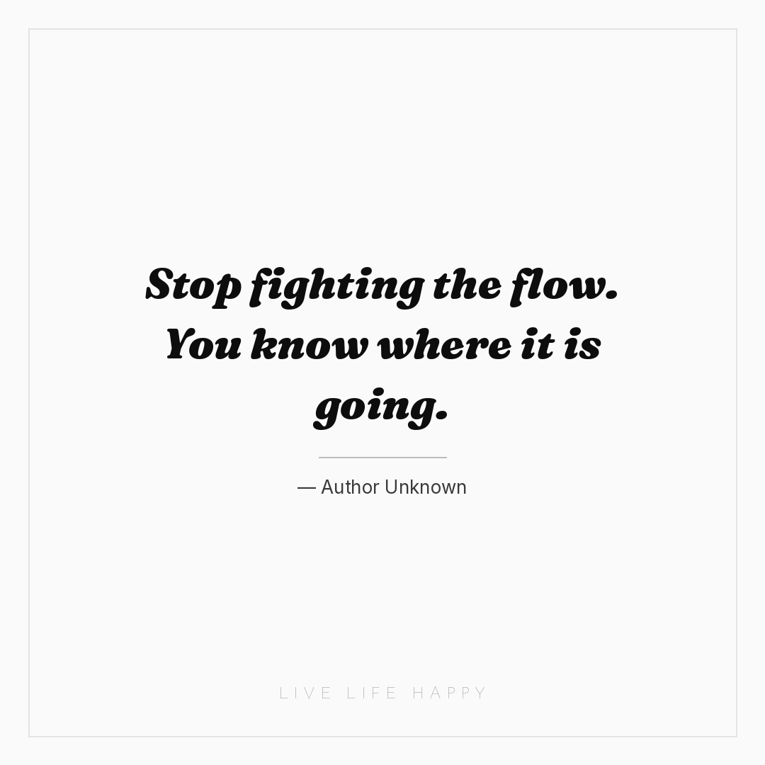 Stop fighting the flow. You know where it is going. — Author Unknown
