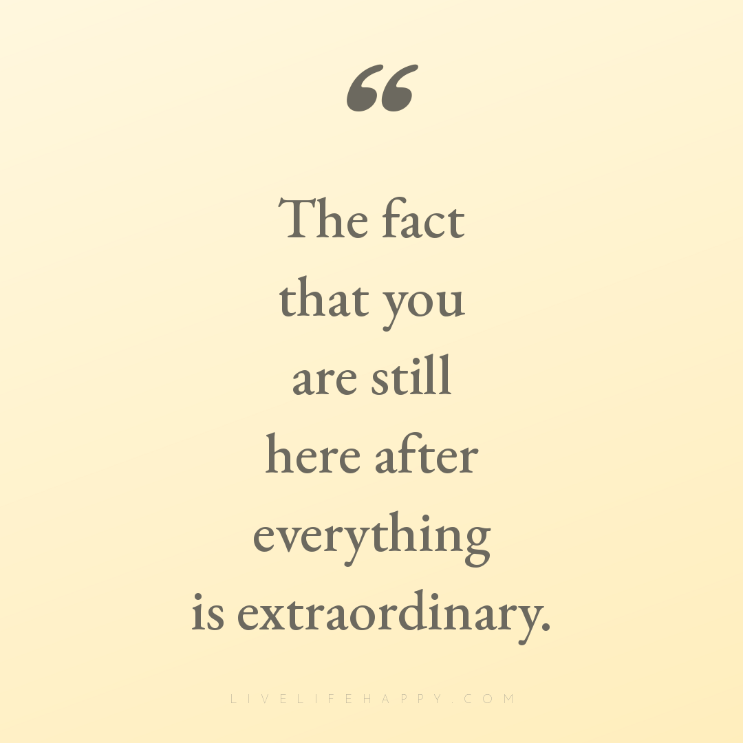 The fact that you are still here after everything is... — Author Unknown