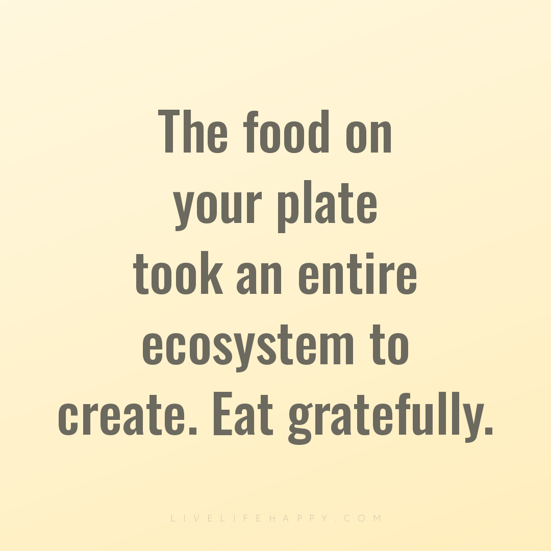 The food on your plate took an entire ecosystem to c... — Author Unknown