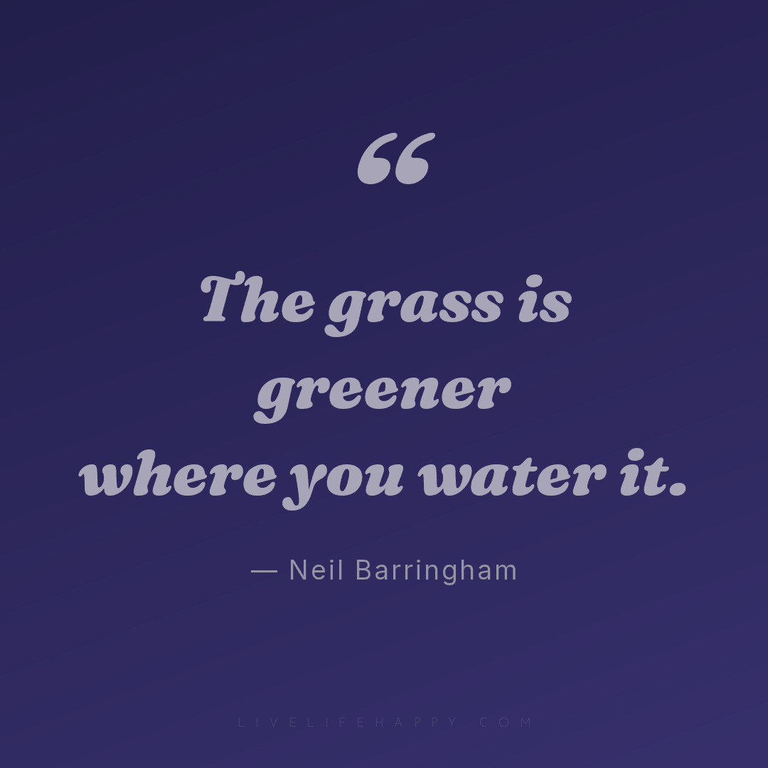 The grass is greener where you water it. — Neil Barringham