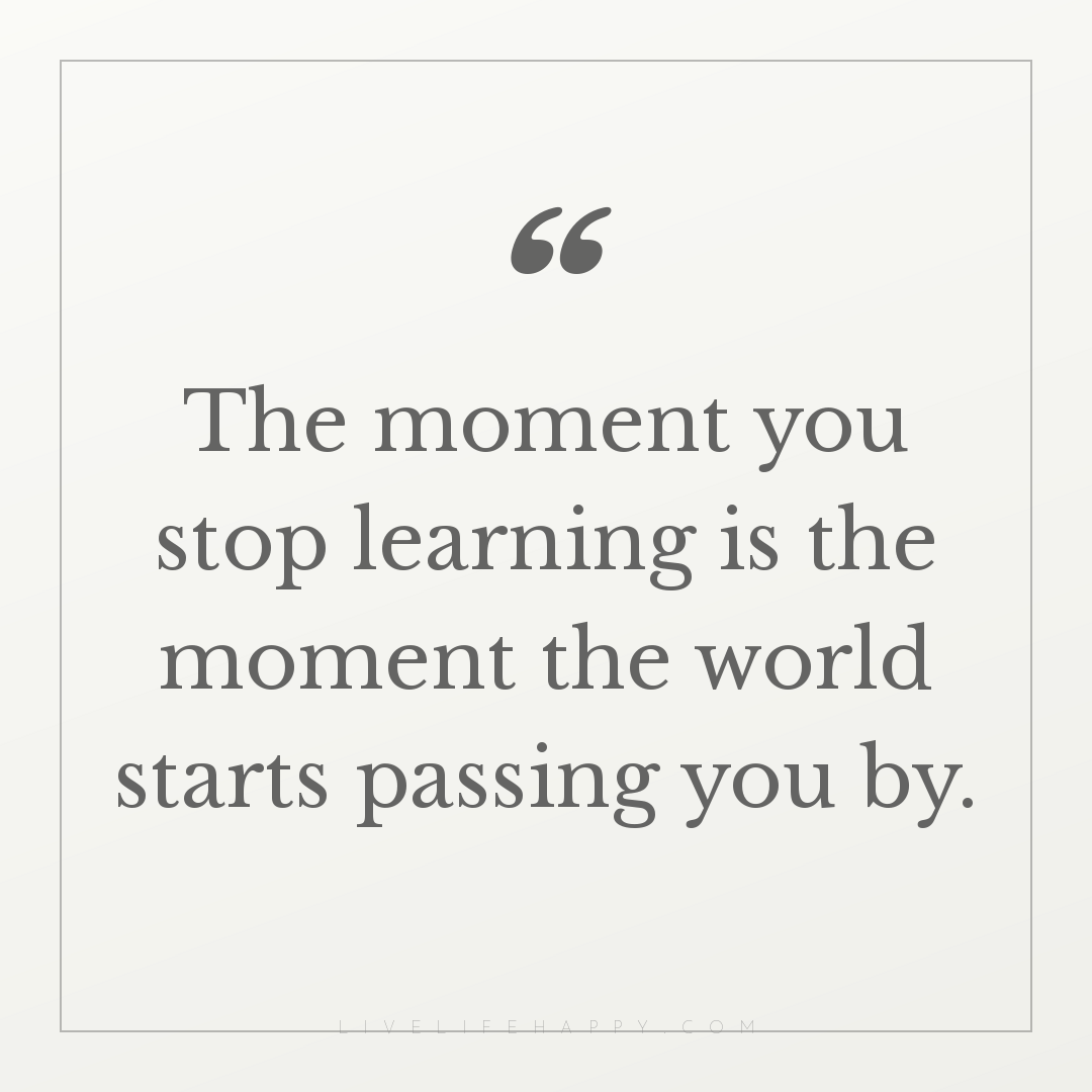 The moment you stop learning is the moment the world... — Author Unknown