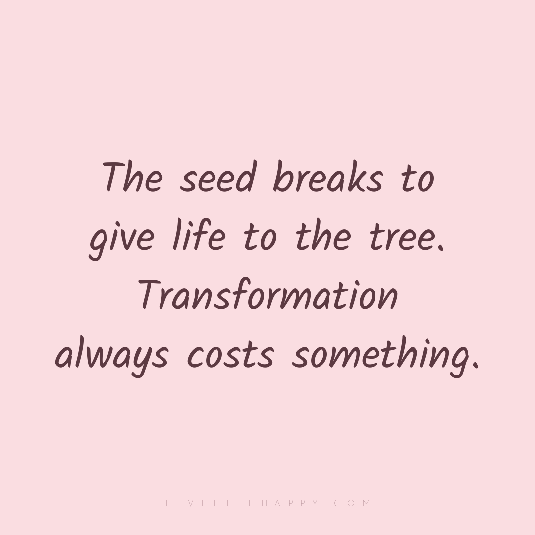 The seed breaks to give life to the tree. Transforma... — Author Unknown