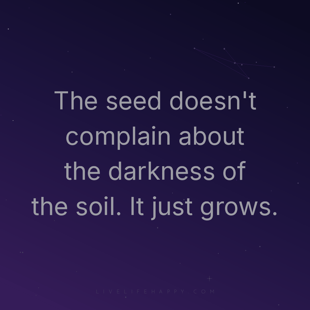 The seed doesn't complain about the darkness of the ... — Author Unknown