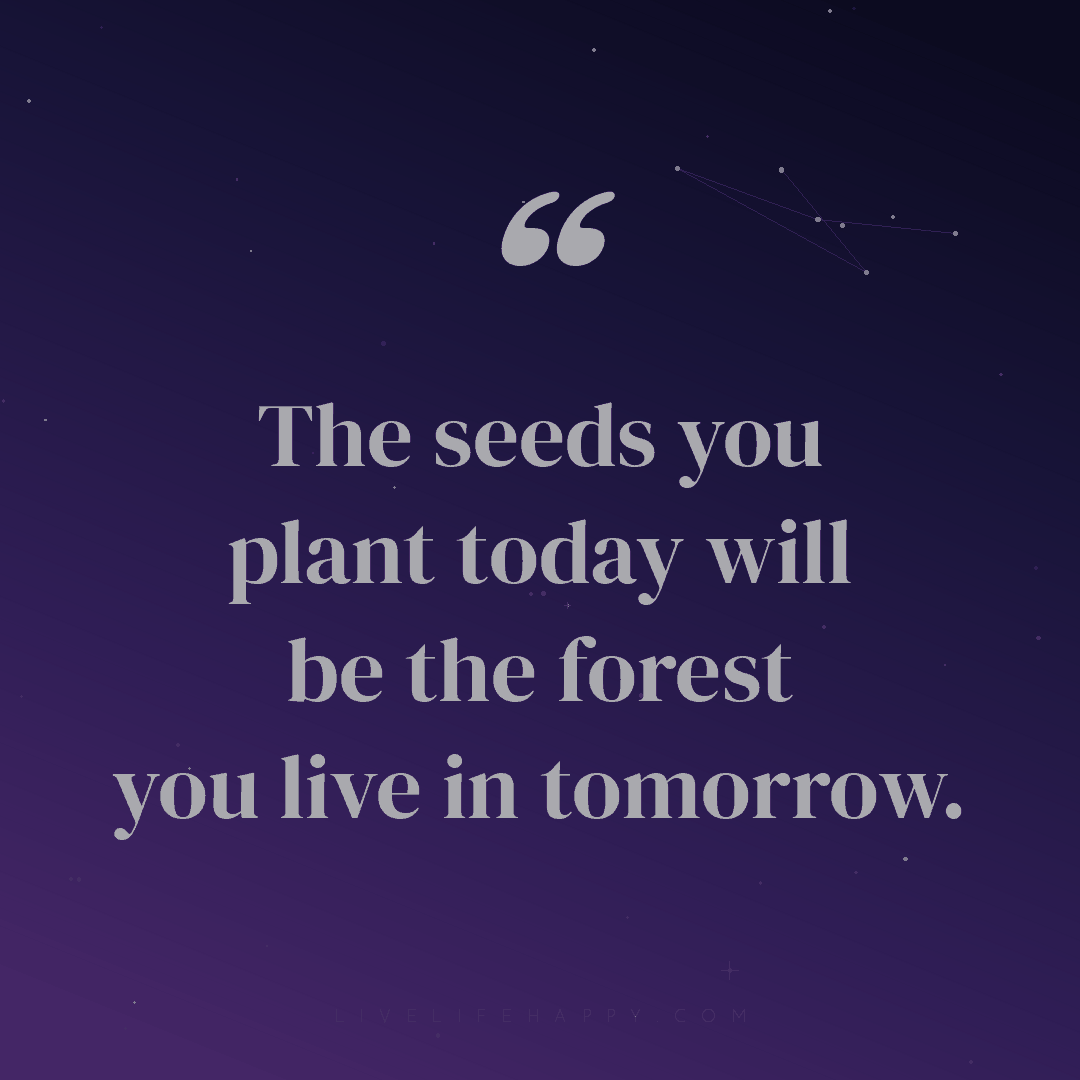 The seeds you plant today will be the forest you liv... — Author Unknown