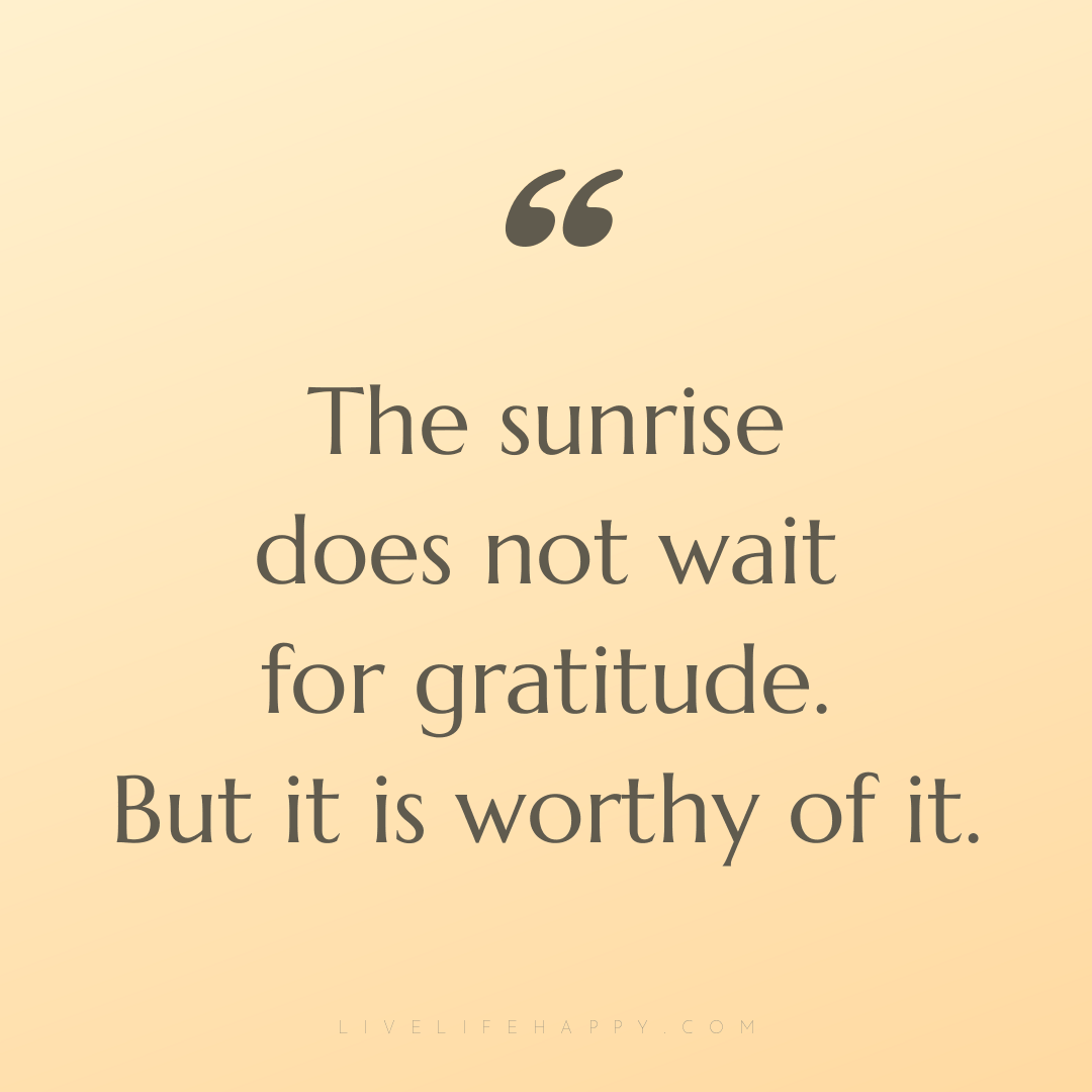 The sunrise does not wait for gratitude. But it is w... — Author Unknown