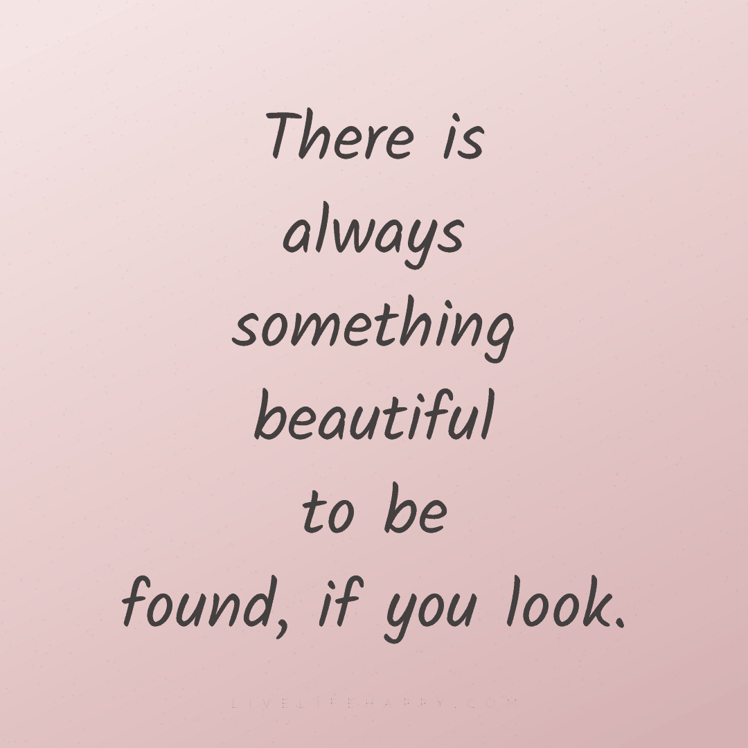 There is always something beautiful to be found, if ... — Author Unknown