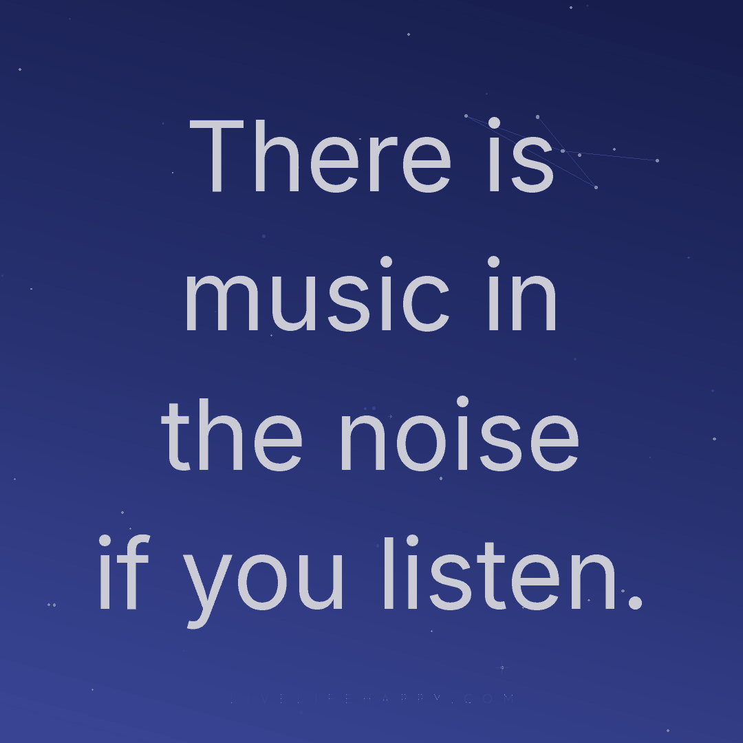 There is music in the noise if you listen. — Author Unknown