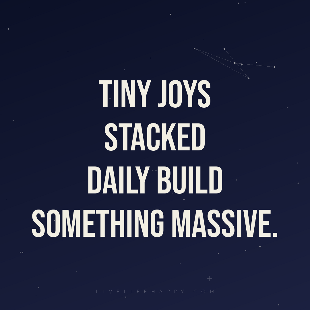 Tiny joys stacked daily build something massive. — Author Unknown