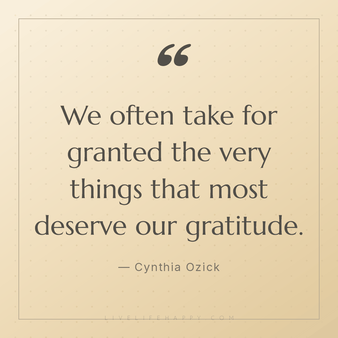 We often take for granted the very things that most ... — Cynthia Ozick