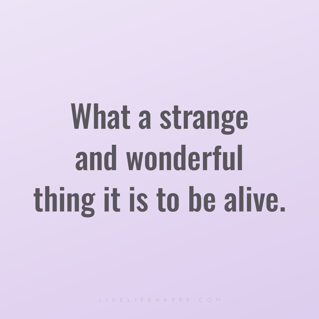 What a strange and wonderful thing it is to be alive... — Author Unknown