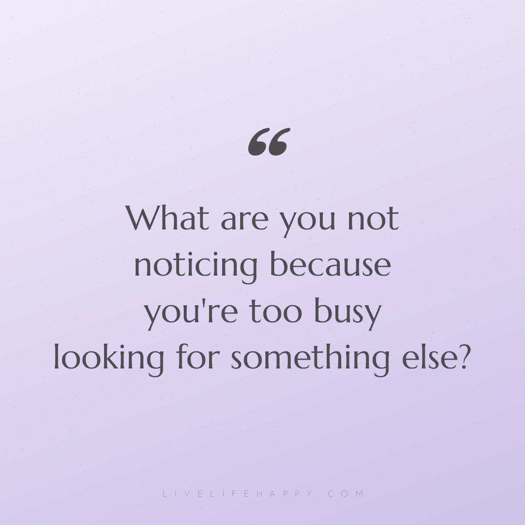 What are you not noticing because you're too busy lo... — Author Unknown